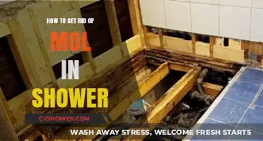 Effective Ways to Eliminate Mold in Your Shower Permanently