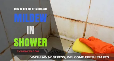 Effective Ways to Eliminate Mold and Mildew in Your Shower