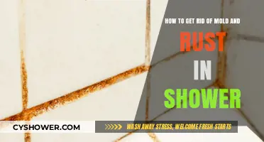Effective Tips to Eliminate Mold and Rust from Your Shower