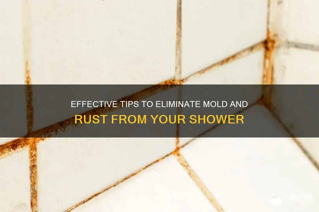 how to get rid of mold and rust in shower