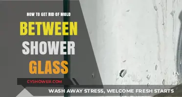 Effective Ways to Remove Mold Between Shower Glass Doors