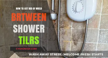 Effective Ways to Remove Mold Between Shower Tiles Permanently