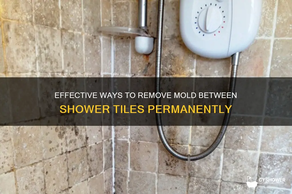 how to get rid of mold brtween shower tilrs