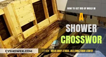 Effective Tips to Eliminate Shower Mold and Prevent Regrowth
