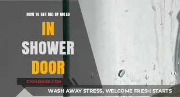 Effective Tips to Eliminate Mold from Your Shower Door Easily