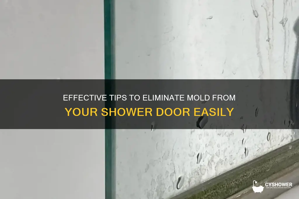 how to get rid of mold in shower door