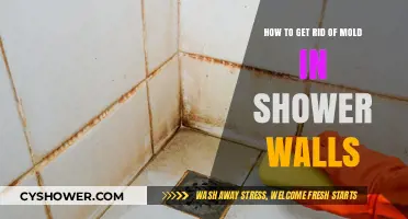Effective Ways to Eliminate Mold on Shower Walls Permanently