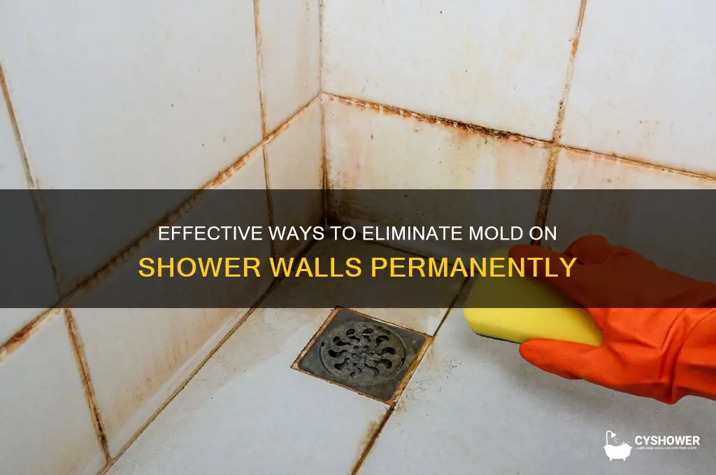 how to get rid of mold in shower walls
