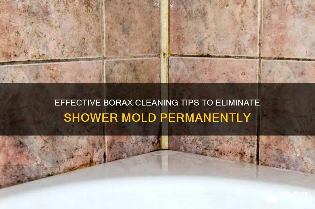 how to get rid of mold in shower with borax