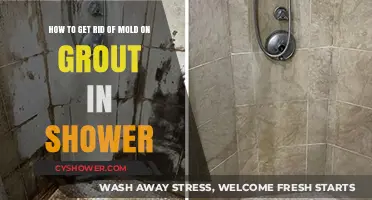 Effective Ways to Remove Mold from Shower Grout Easily