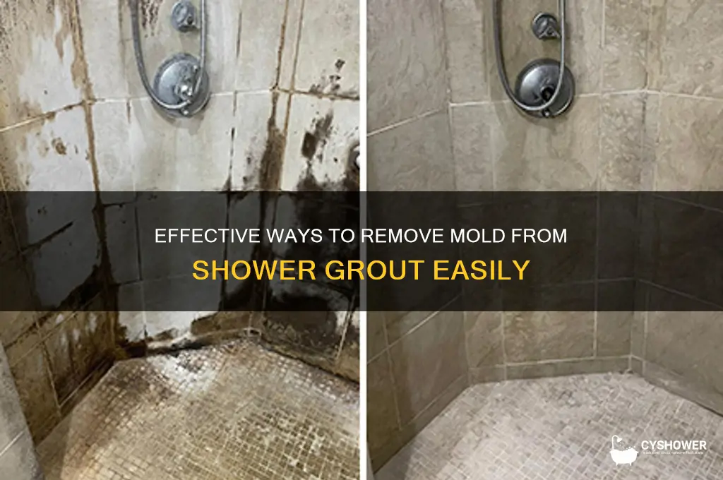 how to get rid of mold on grout in shower
