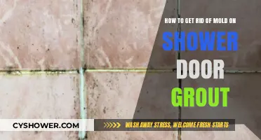 Effective Ways to Remove Mold from Shower Door Grout Easily