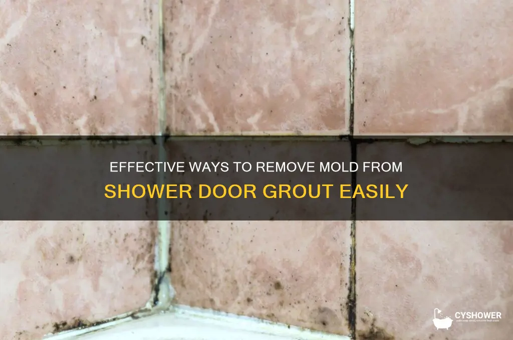 how to get rid of mold on shower door grout