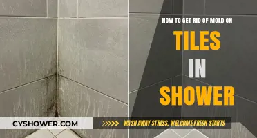 Effective Ways to Remove Mold from Shower Tiles Permanently