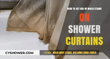Effective Tips to Remove Mold Stains from Shower Curtains Easily