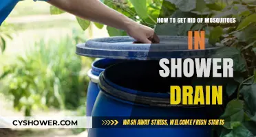 Effective Ways to Eliminate Mosquitoes from Your Shower Drain