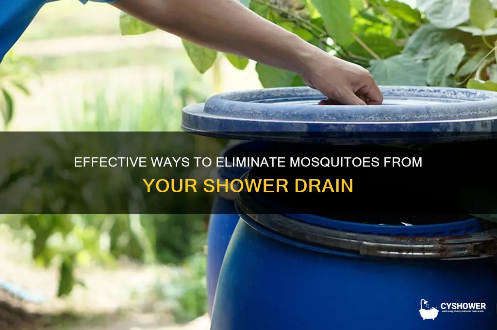 how to get rid of mosquitoes in shower drain