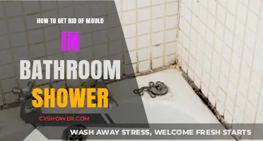 Effective Ways to Eliminate Mould in Your Bathroom Shower