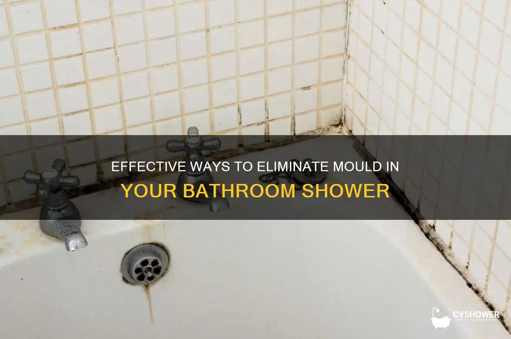how to get rid of mould in bathroom shower