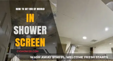 Effective Ways to Remove Mould from Your Shower Screen Easily