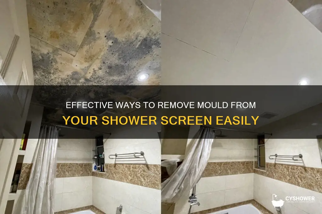 how to get rid of mould in shower screen