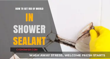 Effective Ways to Remove Mould from Shower Sealant Easily