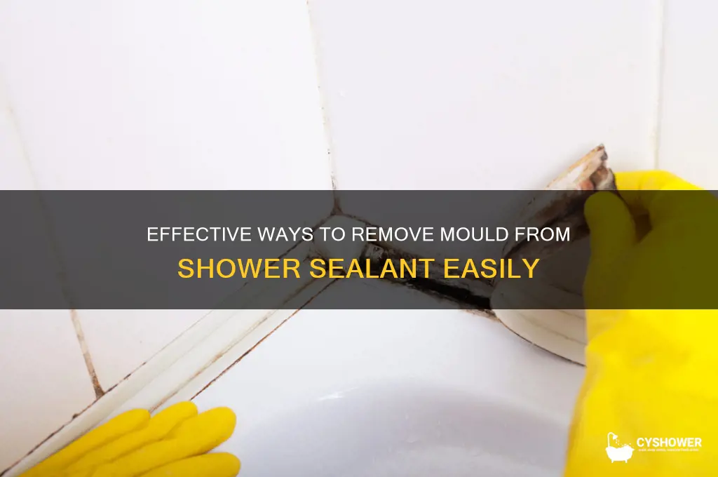 how to get rid of mould in shower sealant
