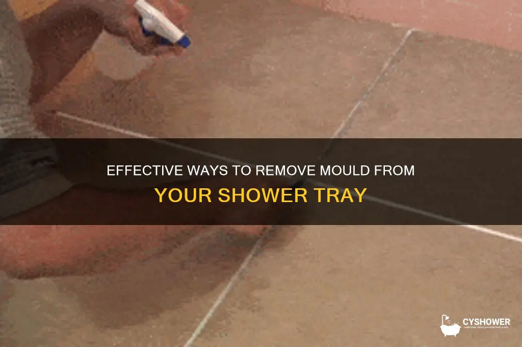 how to get rid of mould in shower tray