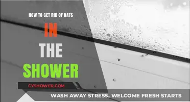 Effective Ways to Eliminate Annoying Nats from Your Shower Space