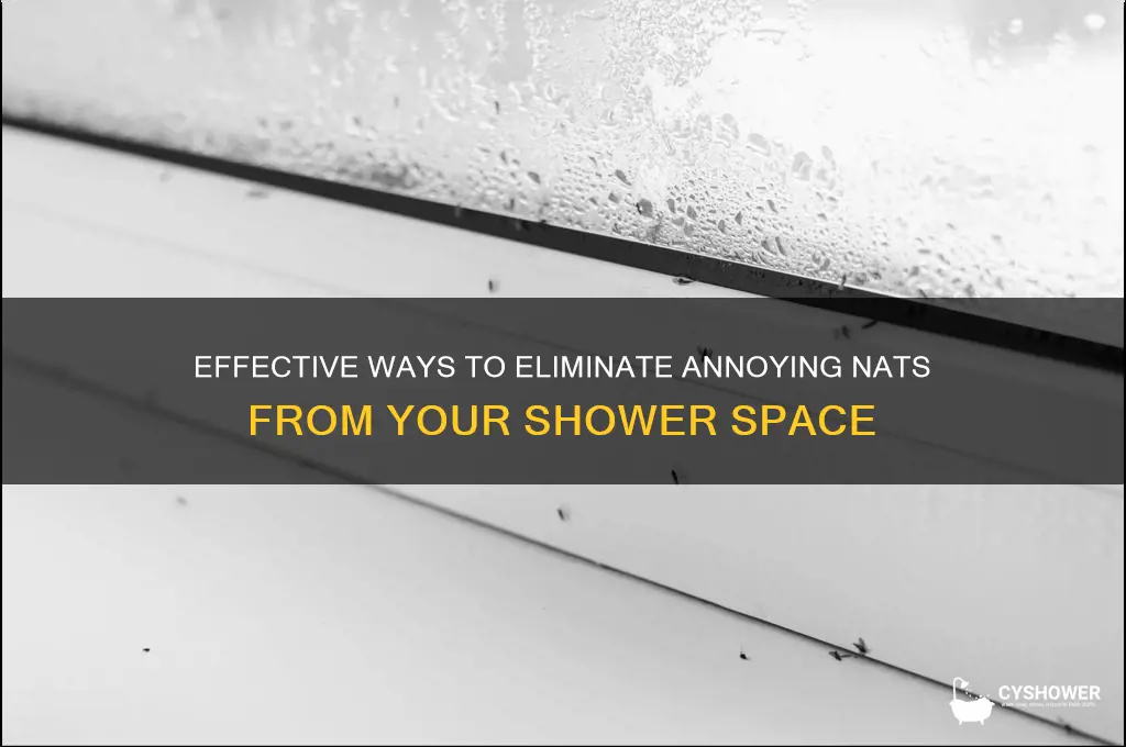 how to get rid of nats in the shower