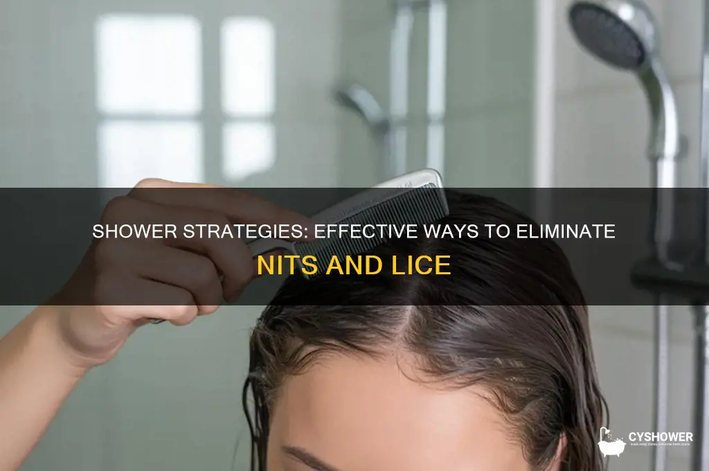 how to get rid of nits in the shower