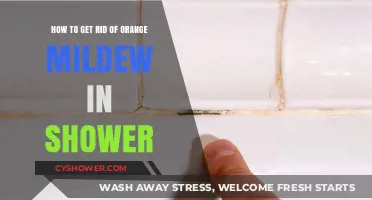 Effective Ways to Eliminate Orange Mildew in Your Shower