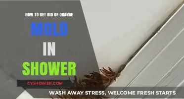 Effective Ways to Eliminate Orange Mold in Your Shower