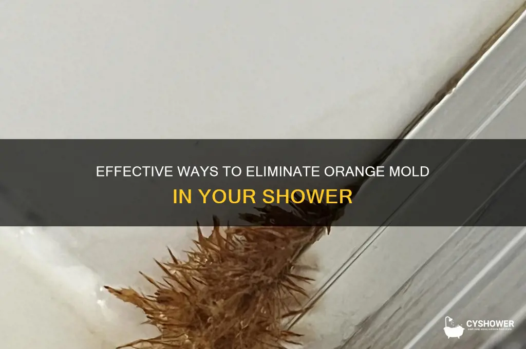 how to get rid of orange mold in shower