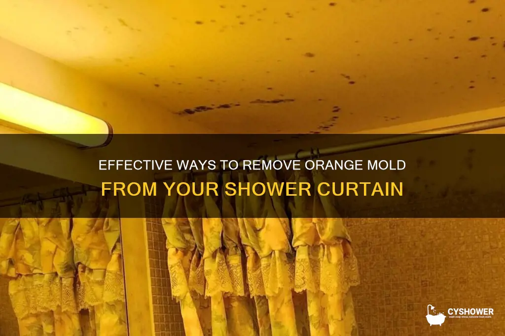 how to get rid of orange mold on shower curtain