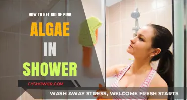 Effective Ways to Eliminate Pink Algae from Your Shower