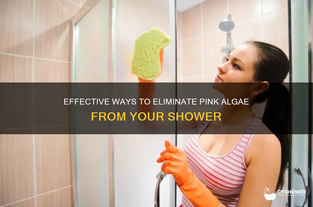 how to get rid of pink algae in shower