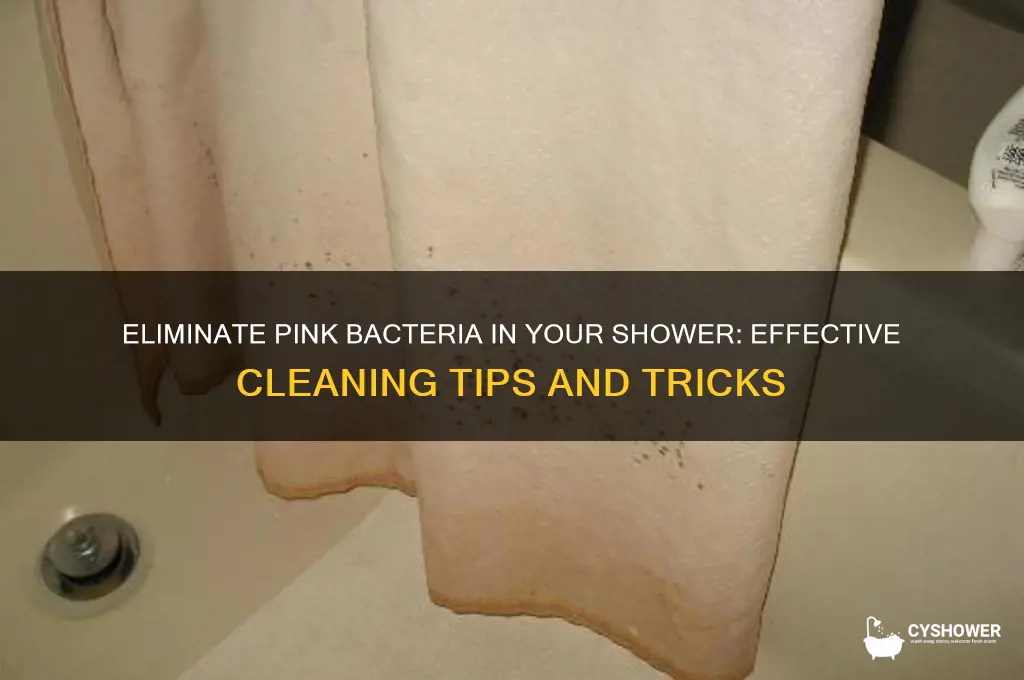 how to get rid of pink bacteria in shower