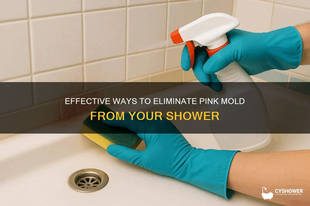 how to get rid of pink mold on shower