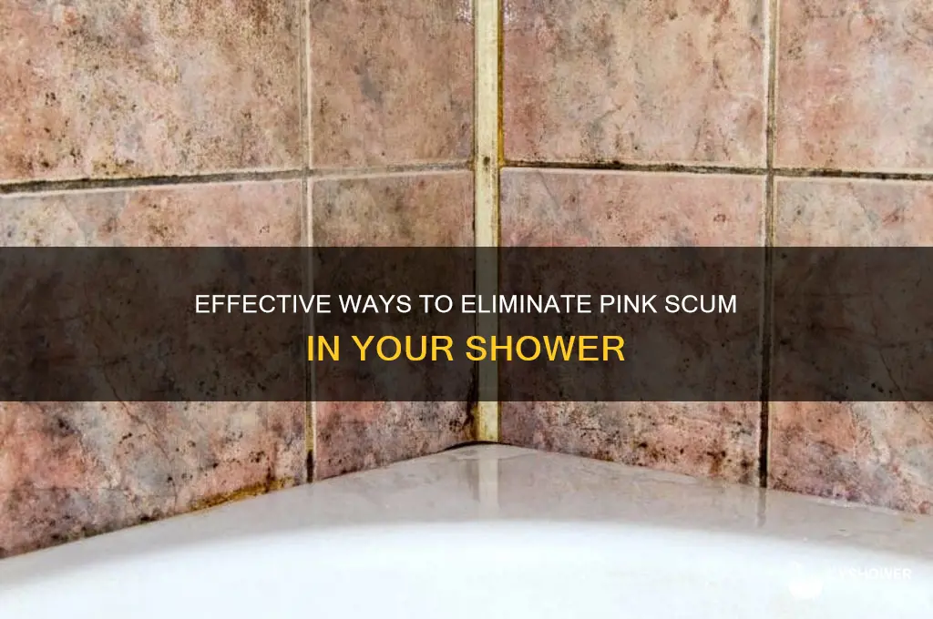 how to get rid of pink scum in shower
