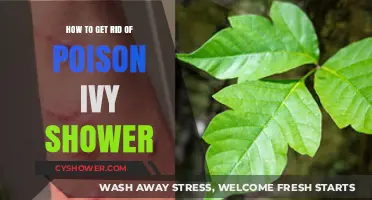 Effective Shower Tips to Eliminate Poison Ivy Rash and Relief