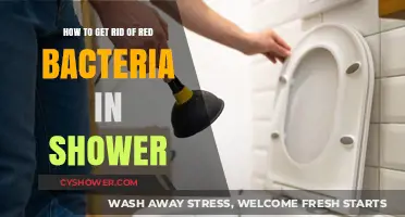 Effective Ways to Eliminate Red Bacteria Buildup in Your Shower