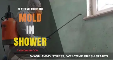 Effective Ways to Eliminate Red Mold in Your Shower Quickly