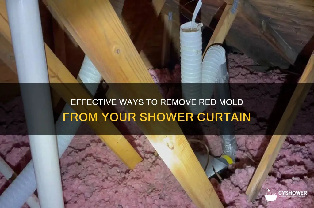 how to get rid of red mold on shower curtain