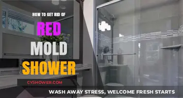Effective Ways to Eliminate Red Mold in Your Shower