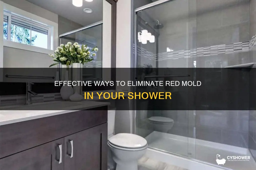 how to get rid of red mold shower