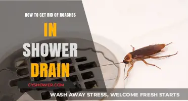 Effective Ways to Eliminate Roaches from Your Shower Drain