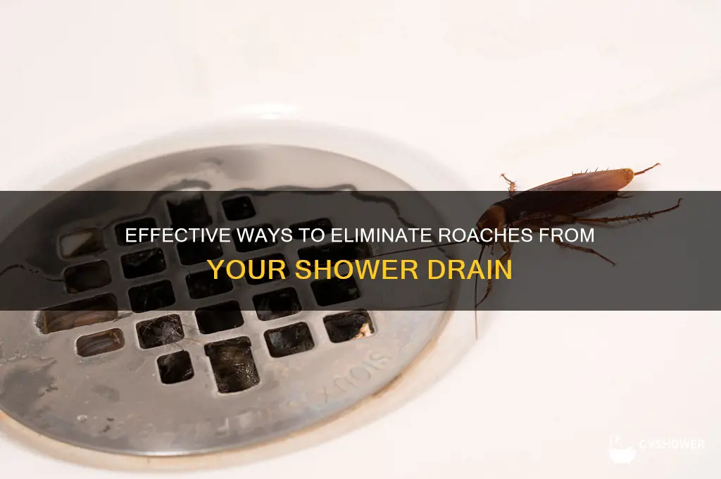 how to get rid of roaches in shower drain