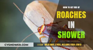 Effective Ways to Eliminate Roaches from Your Shower Area