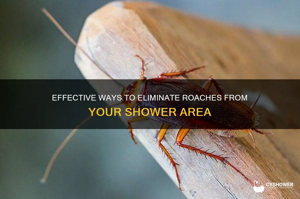 how to get rid of roaches in shower